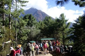 Allibert Trekking reviews Nepal