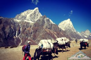 Around Sherpa villages on the way to Everest base camp of Nepal