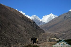 Mt. Everest information with Everest base camp treks and tour packages